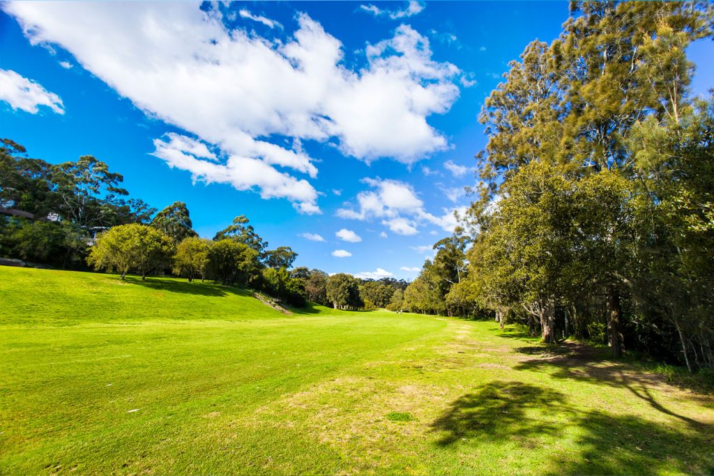 image of a parkland